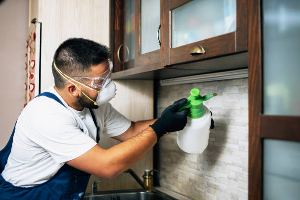 Best Affordable Exterminators  in Brea, CA