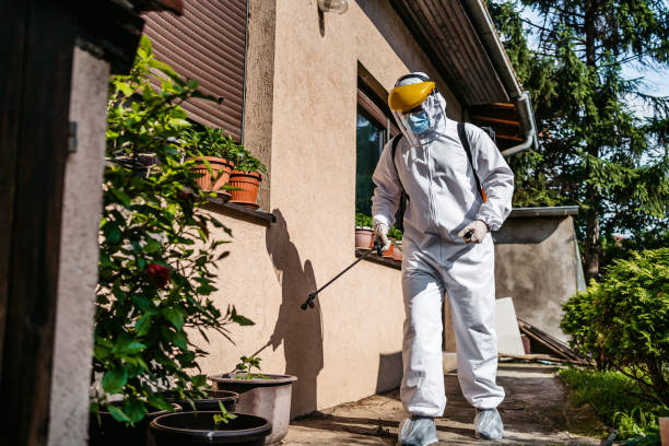 Best Emergency Pest Control  in Brea, CA